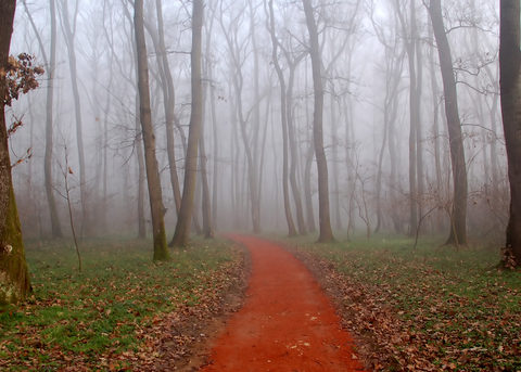 Fog Path | HiroBoga.com
