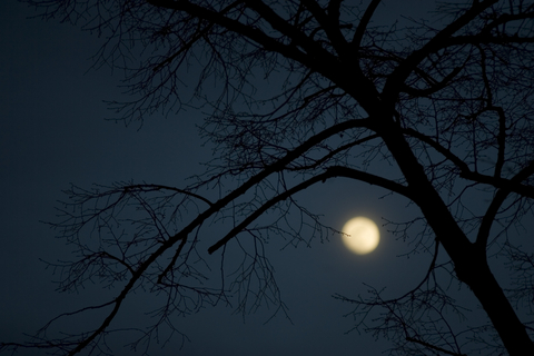 Last night the full moon shone a slanting light