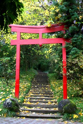 Shrine Gate | HiroBoga.com